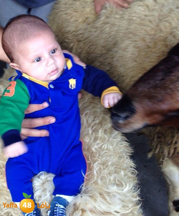 dabe7 ludj31 (57).jpg